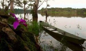 • Cartagena del Chaira