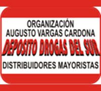 DEPOSITO DE DROGAS DEL SUR