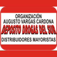DEPOSITO DE DROGAS DEL SUR