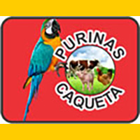 Purinas Caqueta