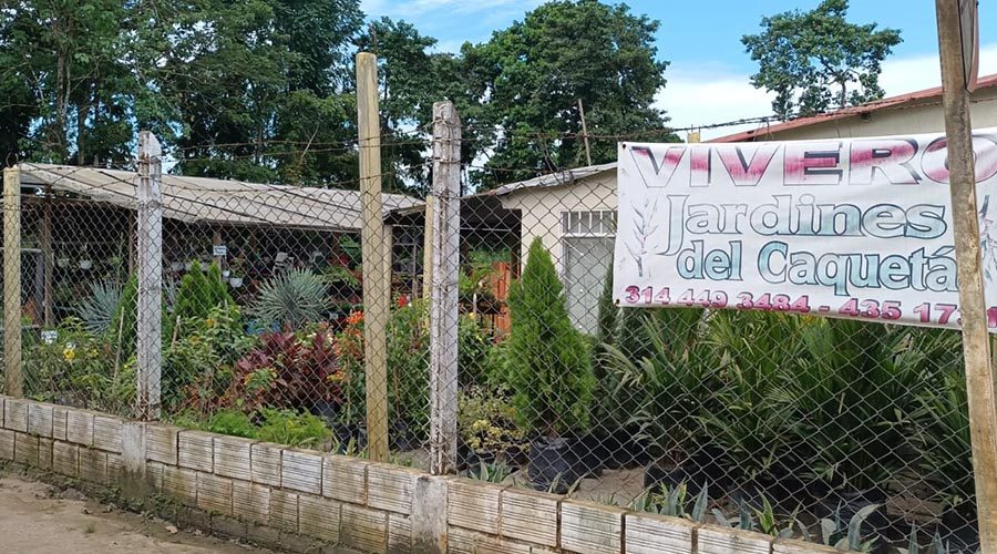 WhatsApp Image 2023-08-11 at 8.25.07 AM