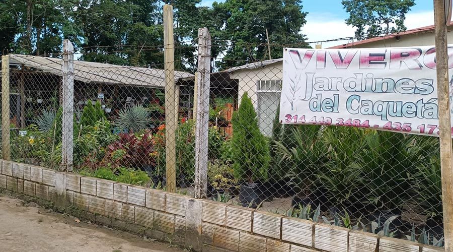 WhatsApp Image 2023-08-11 at 8.25.09 AM