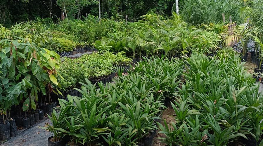 WhatsApp Image 2023-08-11 at 8.25.46 AM (1)