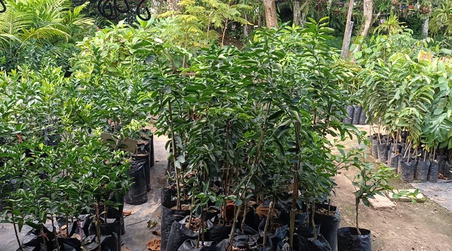 WhatsApp Image 2023-08-11 at 8.25.46 AM (2)