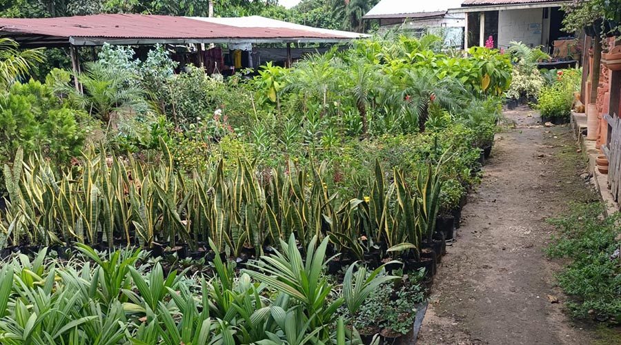 WhatsApp Image 2023-08-11 at 8.25.46 AM