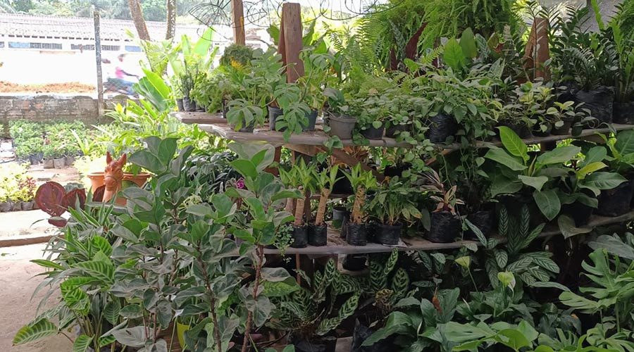 WhatsApp Image 2023-08-11 at 8.25.49 AM (1)