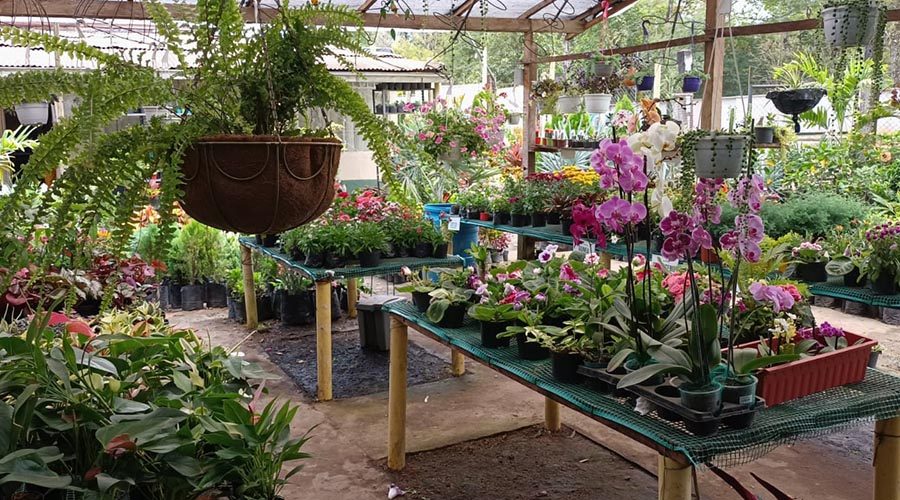 WhatsApp Image 2023-08-11 at 8.25.49 AM