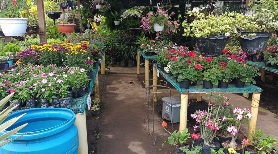 WhatsApp Image 2023-08-11 at 8.25.52 AM (1)