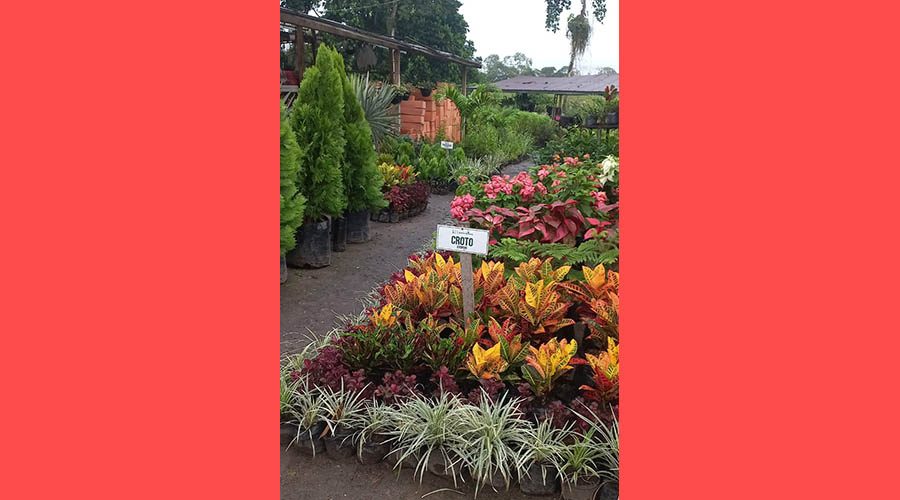 WhatsApp Image 2023-08-23 at 8.19.47 AM